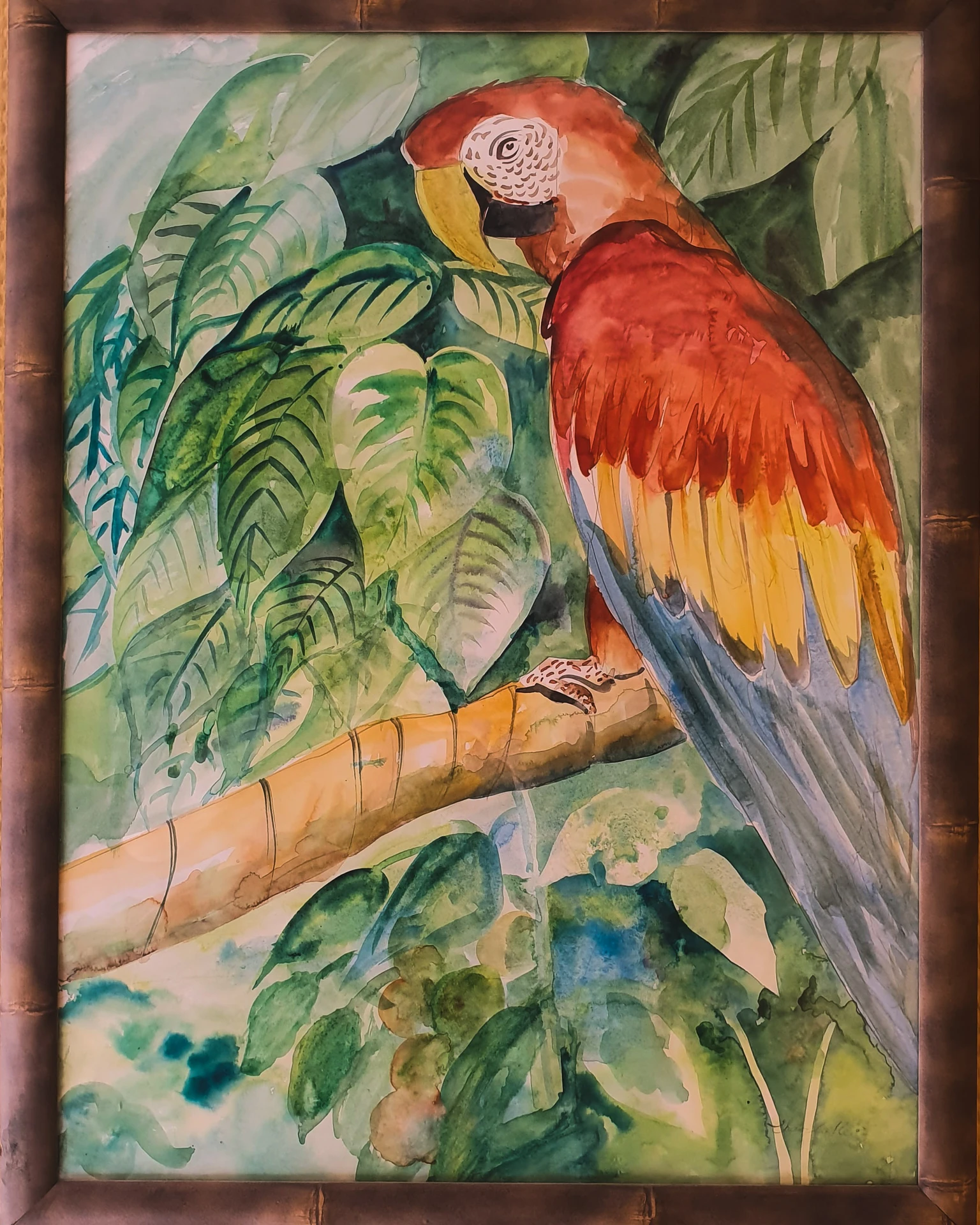 Parrot drawing