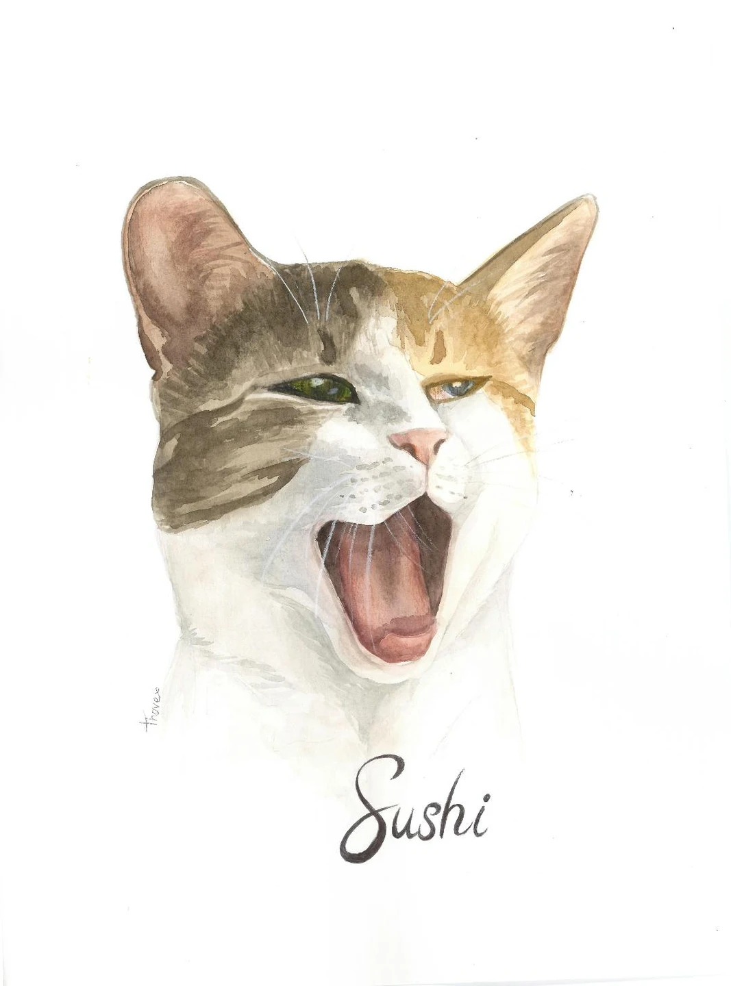 Sushi