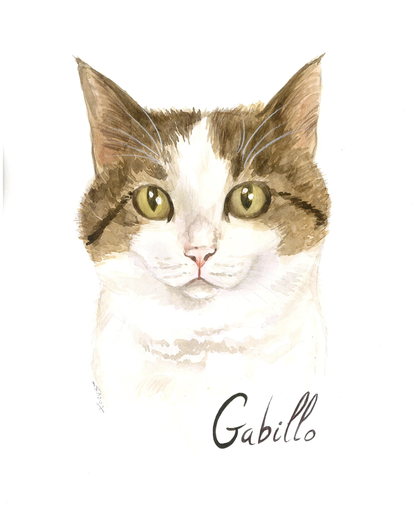 Gabillo